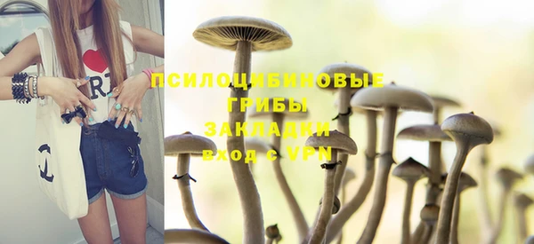прущие крисы Медвежьегорск