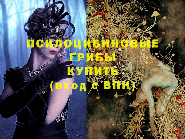 спиды Мегион