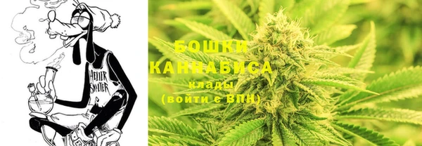 ГАЛЛЮЦИНОГЕННЫЕ ГРИБЫ Санкт-Петербург