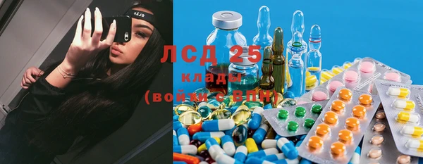 прущие крисы Медвежьегорск