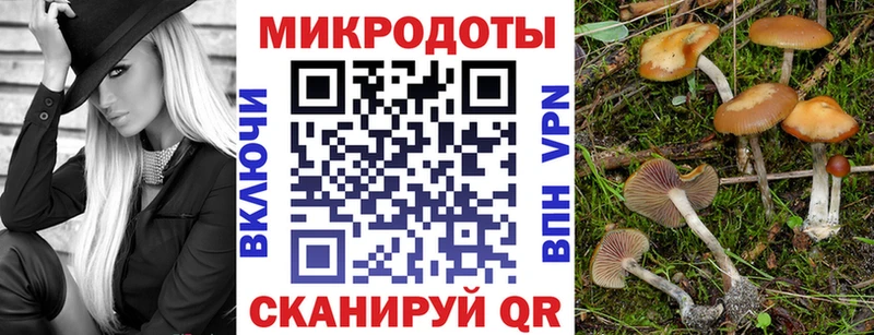 площадка клад  цена наркотик  Монино  Галлюциногенные грибы Cubensis 
